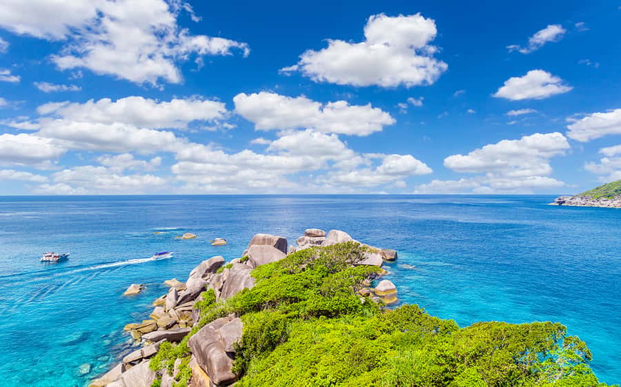 Phuket: Similan day full day trip by speedboat - Who this Phuket Similan speedboat trip is best for
