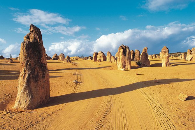 Pinnacles Desert, Koalas and Sandboarding 4WD Day Tour from Perth - Key things to know before you go