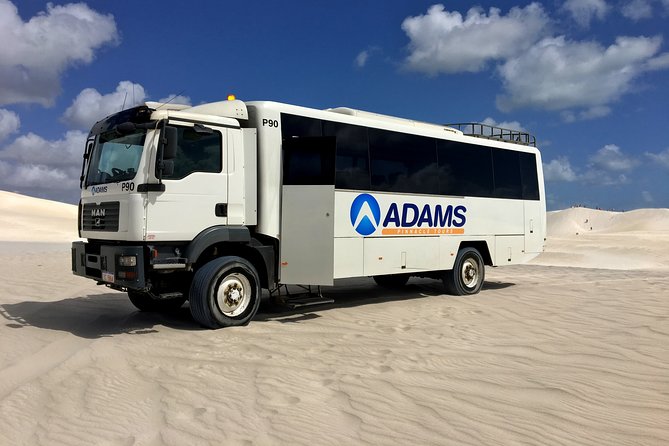 Pinnacles Desert, Koalas and Sandboarding 4WD Day Tour from Perth - Walking the Pinnacles: lunar-like limestone formations with real time to explore