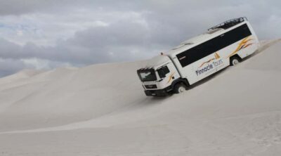 Pinnacles, Koalas, 4WD & Sandboarding Tour from Perth - Caversham Wildlife Park: Koalas, Wombats, and Hand-Fed Kangaroos