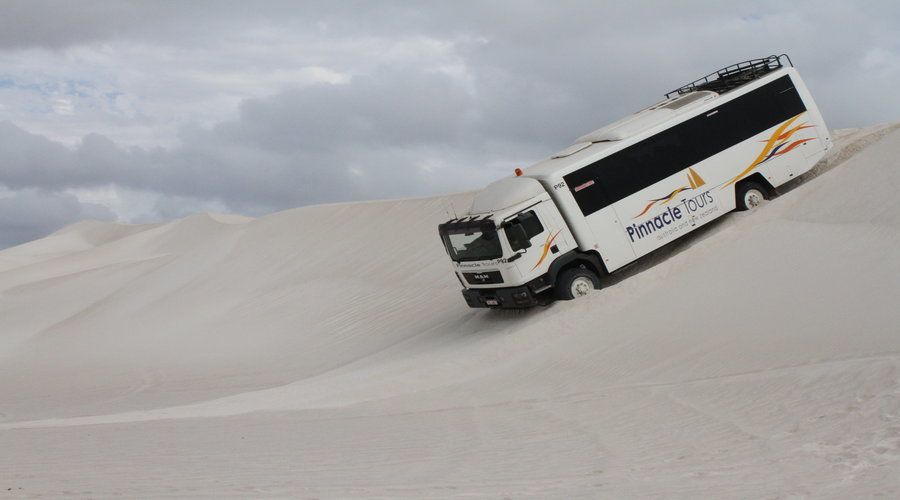 Pinnacles, Koalas, 4WD & Sandboarding Tour from Perth - What’s Included—and What You May Want to Budget for