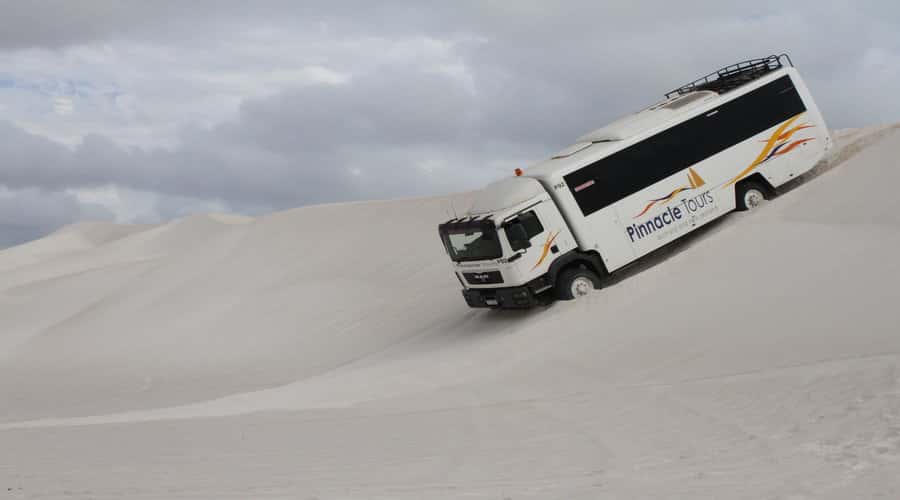 Pinnacles, Koalas & Sandboarding Tour Day Trip from Perth - Key things to know before you go