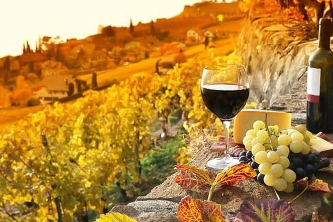 Pisa, Siena and San Gimignano Day Trip with Lunch & Wine Pairing - Should you book this Pisa, Siena, San Gimignano day trip?