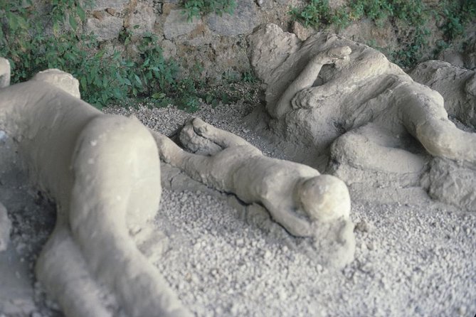 Pompeii and Mount Vesuvius Day Trip from Rome with Pizza Lunch - Coach ride from Rome: what the schedule feels like