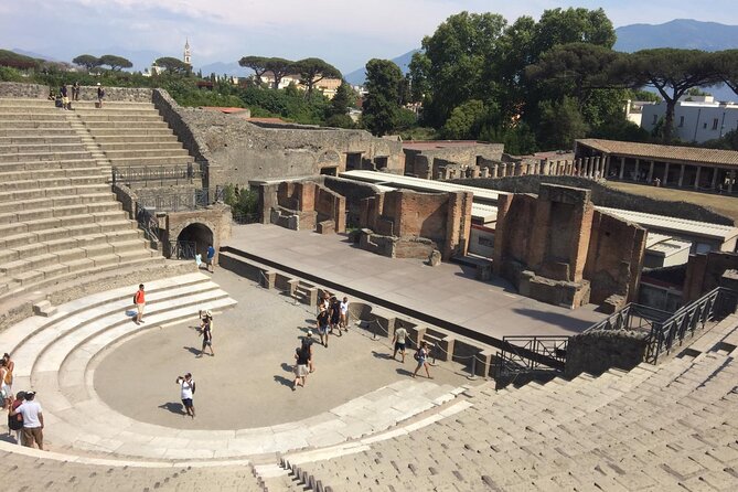 Pompeii and Sorrento Day Trip from Naples - Sorrento Coast by Road: Meta di Sorrento Views and Coastal Stops