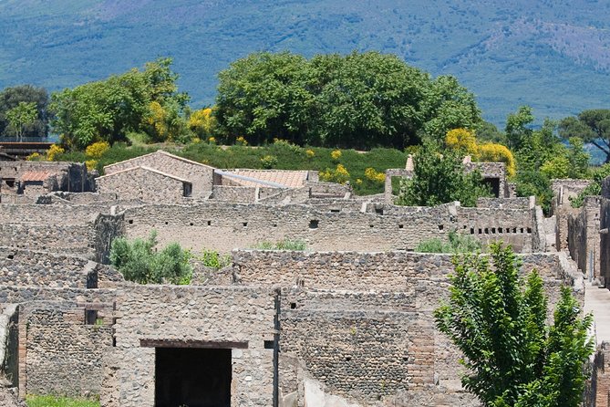 Pompeii Ruins Half-Day Tour from Sorrento with Guide - Admission ticket and what’s included: where your money goes