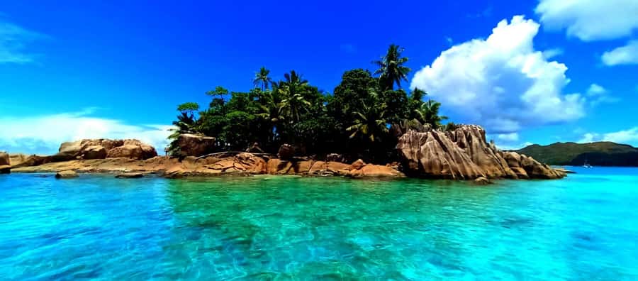 Praslin: Curieuse & St Pierre Island Day Trip with Barbecue - The mangrove nature trail: the easy hike that teaches you to look