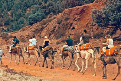 Premium Atlas Mountains & Berber Village Day Trip with Camel Ride - Tahnaout Argan Oil Co-operative: Seeing the Process, Not Just the Bottle
