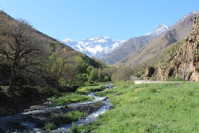Premium Atlas Mountains & Berber Village Day Trip with Camel Ride - Berber Lunch in a Mountain House: Food, Mint Tea, and Local Routine