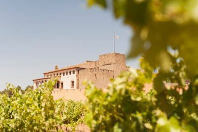 Premium Montserrat & Wine Full Day Tour from Barcelona - Oller del Mas-style winery day: lunch, castle setting, and tastings