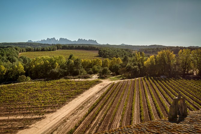 Premium Montserrat & Wine Full Day Tour from Barcelona - Who should book this Montserrat and wine tour