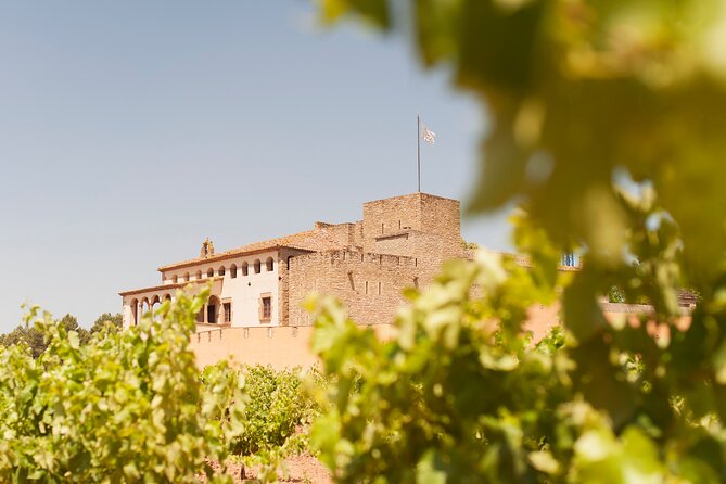 Premium Montserrat & Wine Full Day Tour from Barcelona - Oller del Mas-style winery day: lunch, castle setting, and tastings