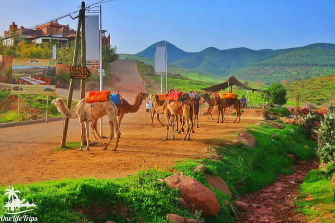Private Atlas Mountains Day Trip - Key Highlights Worth Worrying About (In a Good Way)