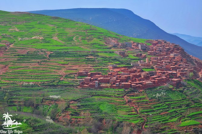 Private Atlas Mountains Day Trip - Ourika Valley: Argan Oil Learning and a Lunch That Isn’t a Trap