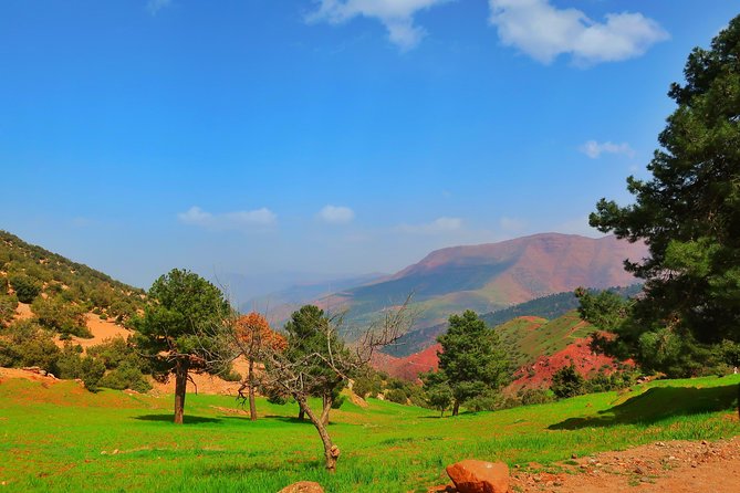 Private Atlas Mountains Day Trip - The Craft Stops on the Way Back: Pottery, Carpets, and Commission Reality