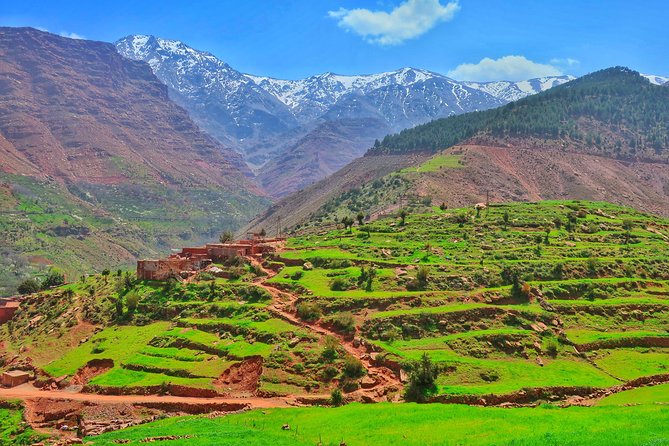 Private Atlas Mountains Day Trip - Price and Value: What $87.24 Actually Buys You