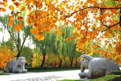 Private Beijing Day Trip: Mutianyu Great Wall and Ming Tombs - Ming Tombs: choosing Sacred Way, Changling, or Dingling