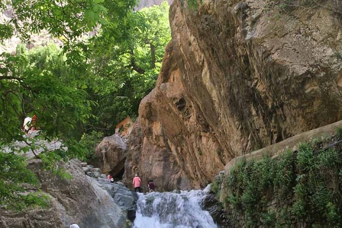 Private Day Trip to Atlas Mountains - Price and value: is $94.20 per person a good deal?