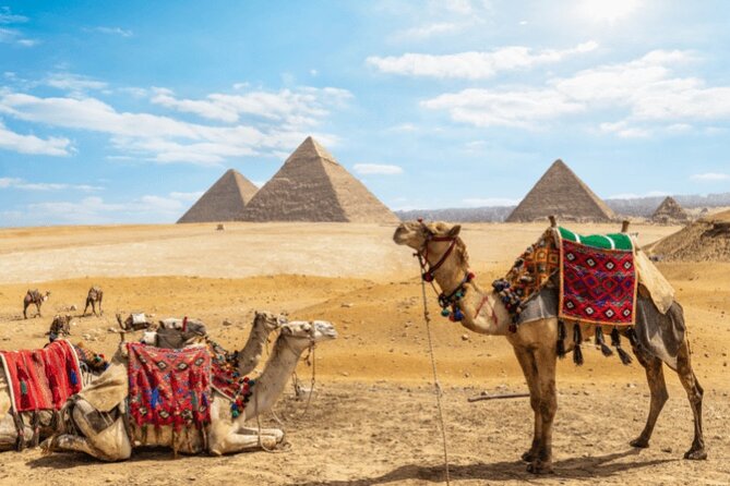 Private day trip to Cairo from Hurghada - Key Points That Matter