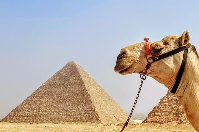 Private day trip to Cairo from Hurghada - Price and Value: What $221 Covers (and What It Doesn’t)