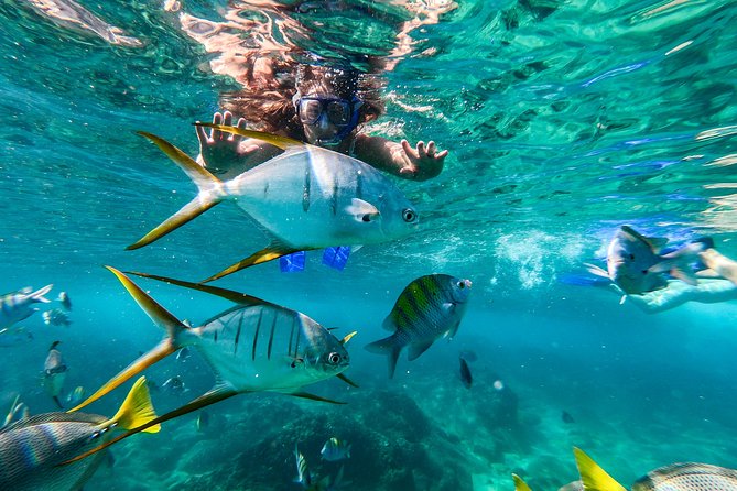 Private Day Trip to San José & Cabo San Lucas - The Glass-Bottom Boat Experience (and Why It’s the Real Show)