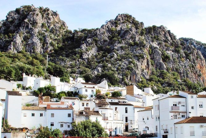 Private Guided Day Trip to the White Villages and Ronda from Seville - How guides shape the day (and why your list matters)