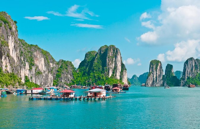 Private Ha Long bay day trip(From Hanoi city or Halong harbour) - Key Highlights You’ll Care About