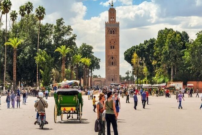 Private Marrakech Day Trip from Casablanca with Free Camel Ride - Jardin Majorelle: Jacques Majorelle’s garden and the cubist villa