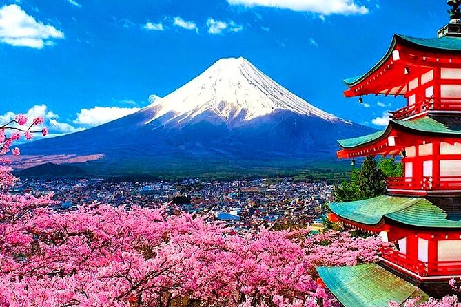 Private Mount Fuji and Hakone sightseeing Day trip with guide - Why a private Mount Fuji and Hakone day trip works from Tokyo