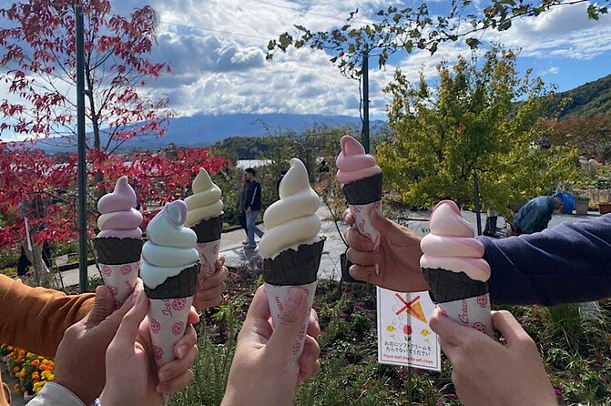 Private Mount Fuji and Hakone sightseeing Day trip with guide - Stop-by-stop: Lake Kawaguchi, Oshino Hakkai, and the Mt. Fuji viewpoints