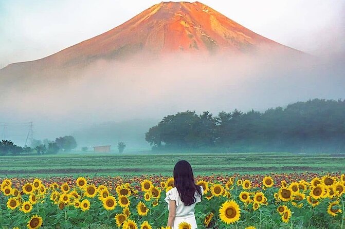 Private Mount Fuji and Hakone sightseeing Day trip with guide - What I’d ask your guide before you start the car