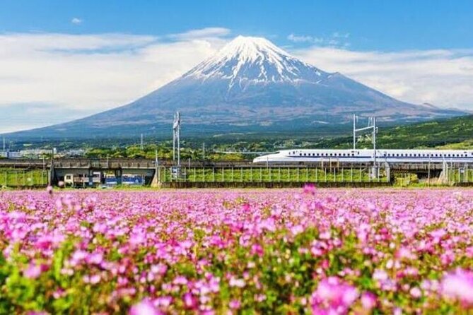Private Mount Fuji and Hakone sightseeing Day trip with guide - Van comfort and timing: why the day feels full (in a good way)