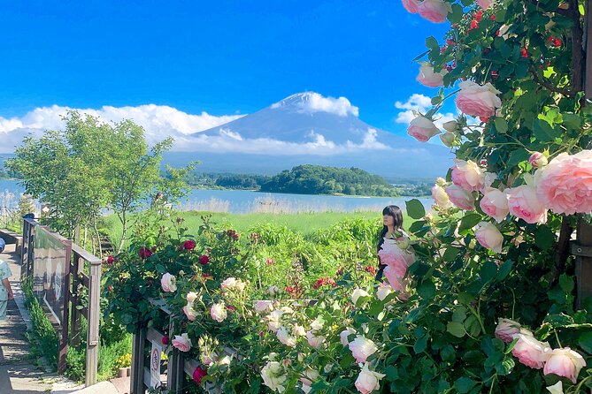 Private Mount Fuji and Hakone sightseeing Day trip with guide - Weather reality: what to do when Mt. Fuji is hidden