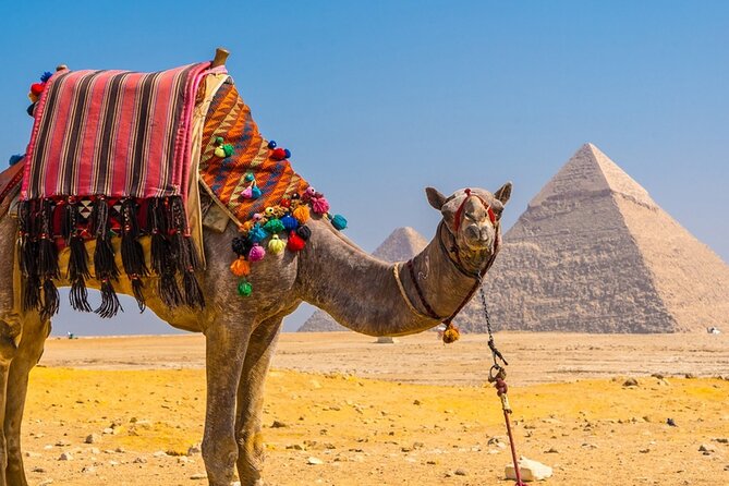 Private Tour: Cairo Day Trip from Hurghada, Including Round-Trip Flights, Giza Pyramids, Sphinx, and Egyptian Museum - Private guide + private minivan: what the extra cost buys