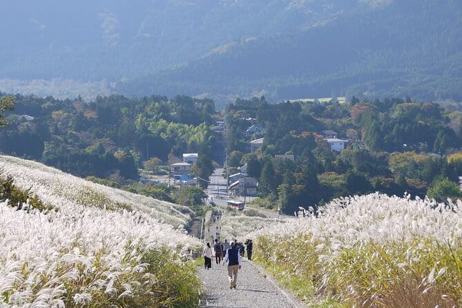 Private Tour - Hakone Day Trip! A Tour to Explore All Must-Sees! - cu-mo Hakone at 757 Meters: Foot Baths and a Short Scenic Reset