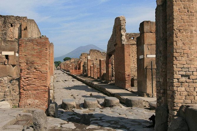 Private Tour: Pompeii and Positano Day Trip from Rome - Positano free time: how to use your 2 hours well