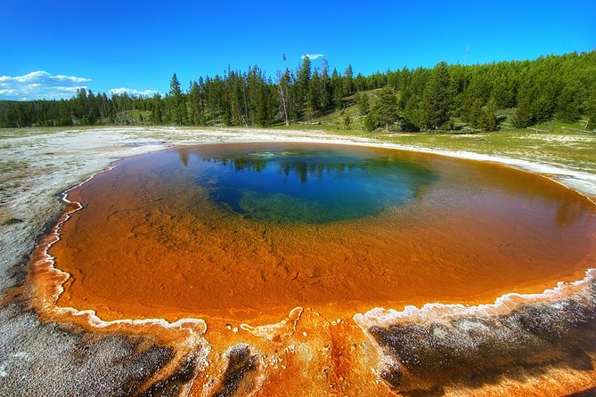 Private VIP Boutique Yellowstone Day Tour from Gardiner MT - A private VIP day plan that works from Gardiner