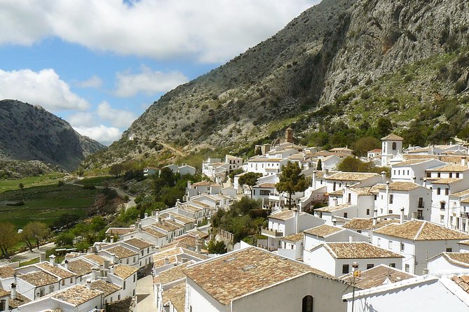 Private White Villages & Ronda Day Tour from Seville - Ronda with your guide: Puente Nuevo and gorge viewpoints