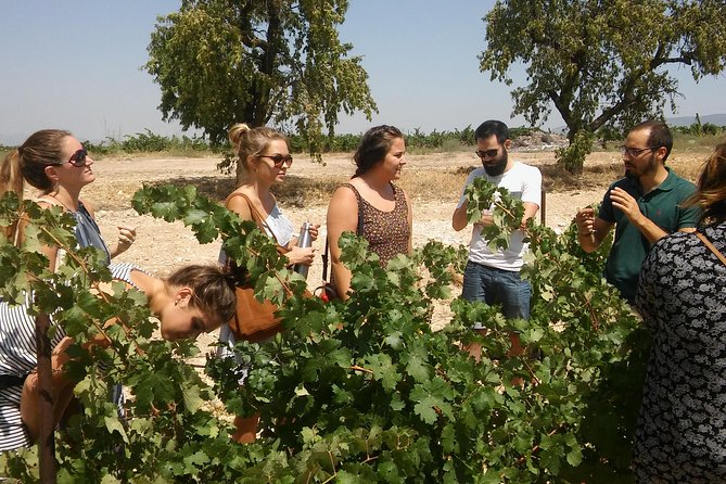 Private Wine Tour with Wine Tasting and Full Lunch (day trip) - Key points to know before you go