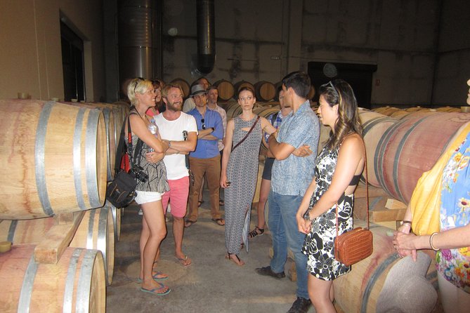 Private Wine Tour with Wine Tasting and Full Lunch (day trip) - Bodega Vera de Estenas: a family-run winery and a 19th-century feel