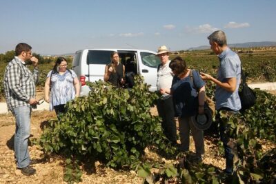 Private Wine Tour with Wine Tasting and Full Lunch (day trip) - Murviedro’s historic caves in Requena: what you’re really seeing