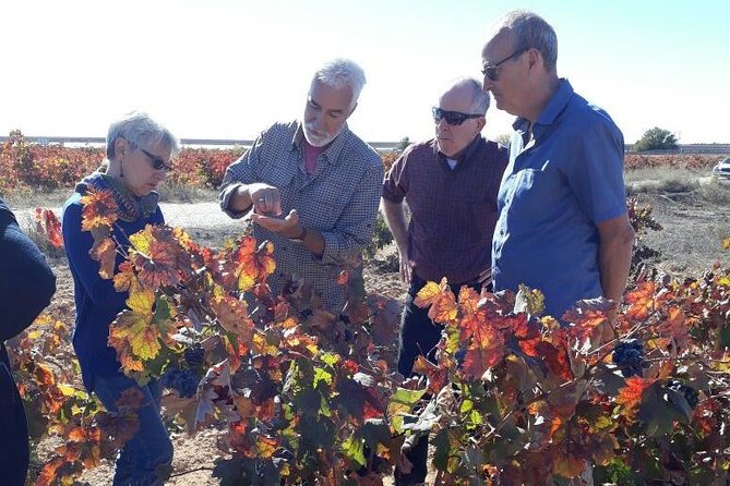 Private Wine Tour with Wine Tasting and Full Lunch (day trip) - Hotel and cruise pickup at 9:30am: the stress-free part