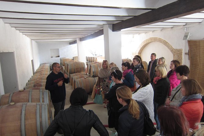 Private Wine Tour with Wine Tasting and Full Lunch (day trip) - What $192.29 per person really covers