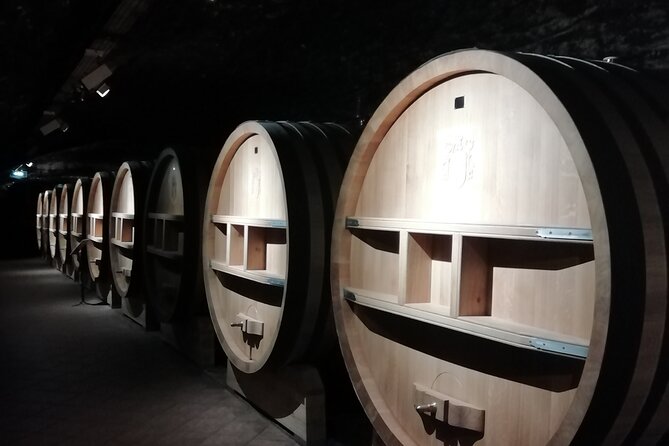 Provence Cru Wine Small-Group Half-Day Tour from Avignon - Why this half-day Cru tour is smart from Avignon