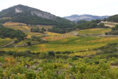 Provence Cru Wine Small-Group Half-Day Tour from Avignon - Gigondas: the Roman name Jucunditas and your first tasting style
