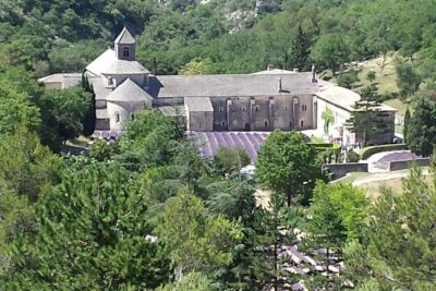 Provence Highlights Full-Day Tour from Avignon - Why this “highlights” route is a smart Provence plan