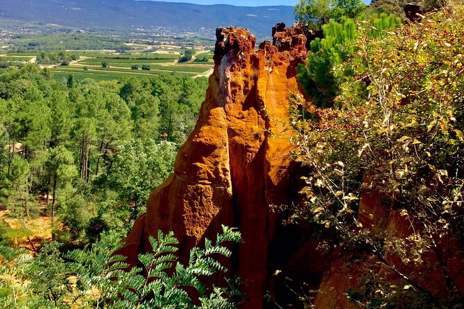 Provence Highlights Full-Day Tour from Avignon - Roussillon: ochre streets, color you can touch, and a lunch reset