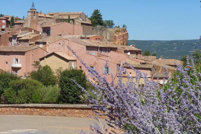 Provence Lavender Full Day Tour from Avignon - Planning Your Day: What to Bring and How to Avoid Common Friction