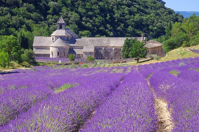 Provence Lavender Full Day Tour from Avignon - Roussillon vs. Sault: Lavender Timing and Free Time in Two Different Town Vibes