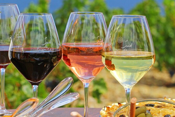 Provence Organic Wine Tasting Half Day Tour from Nice - Key Points to Know Before You Go